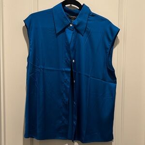 Banana Republic Factory Sleeveless Blue Button-Down Shirt